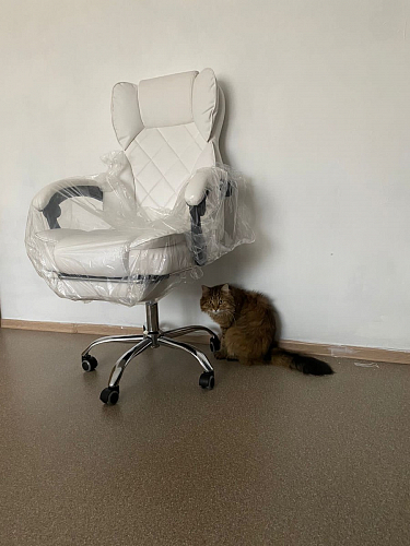 Компьютерное кресло Kolson whitе фото покупателя 22