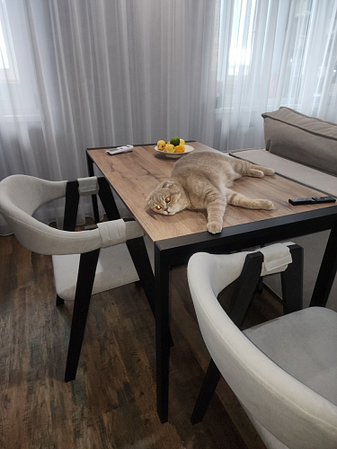 Стол Центавр дуб галифакс / черный матовый фото покупателя 43