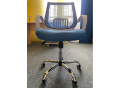 Компьютерное кресло Ergoplus белое / голубое фото покупателя 32