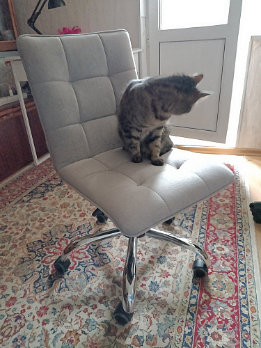 Компьютерное кресло Zero/Зеро серый 29 фото покупателя 226