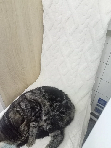 Стул на металлокаркасе DC2-001 grey фото покупателя 8