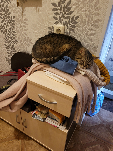 Обувница Аврора дуб млечный / венге фото покупателя 13