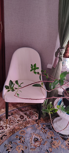 Стул на металлокаркасе Rendal light blue / white фото покупателя 1