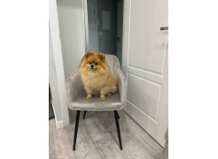 Стул на металлокаркасе Slam тёмно-серый фото покупателя 13