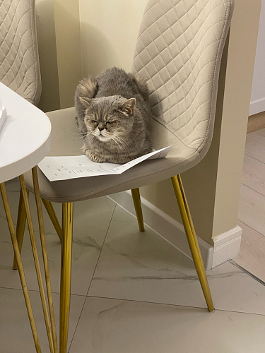 Стул на металлокаркасе Dabl wine red фото покупателя 156