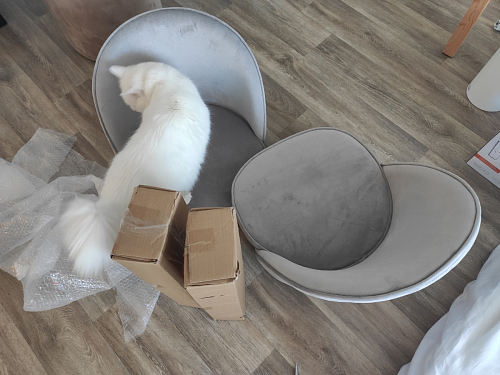 Стул на металлокаркасе Dodo blue фото покупателя 69