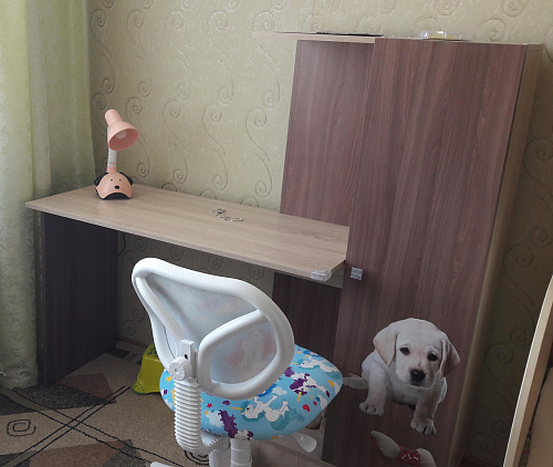 Письменный стол Квартет-6 белый фото покупателя 60