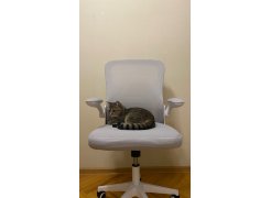 Компьютерное кресло Konfi blue / white фото покупателя 234