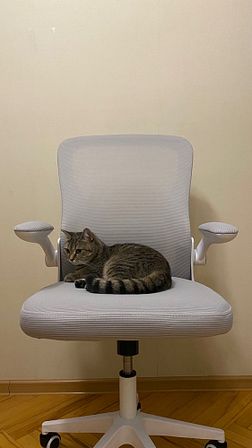 Компьютерное кресло Konfi light gray / blue / white фото покупателя 234