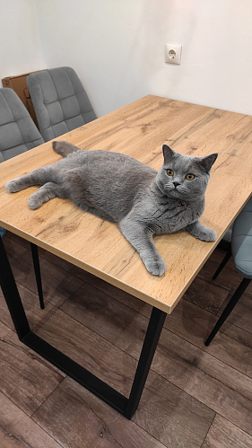 Деревянный стол Лота Лофт 120x75 дуб крафт табачный / черный матовый фото покупателя 934