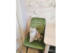 Стул на металлокаркасе Chic-Q черный / синий фото покупателя 2