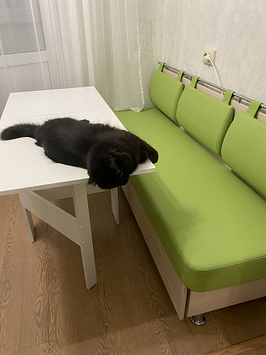 Стол-книжка-5 белый фото покупателя 2