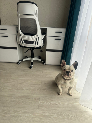 Компьютерное кресло Burgos черное фото покупателя 8