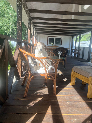 Комплект для отдыха New Bogota мед фото покупателя 13