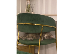 Стул на металлокаркасе Kamelia темно-серый / золотой фото покупателя 56