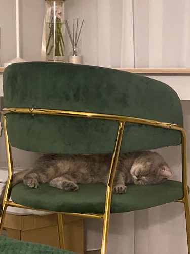 Стул на металлокаркасе Kamelia светло-фиолетовый / золотой фото покупателя 67