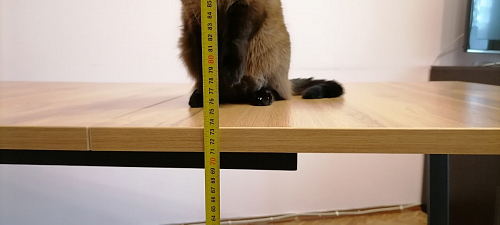 Деревянный стол Лота Лофт 120x75 дуб крафт табачный / черный матовый фото покупателя 323