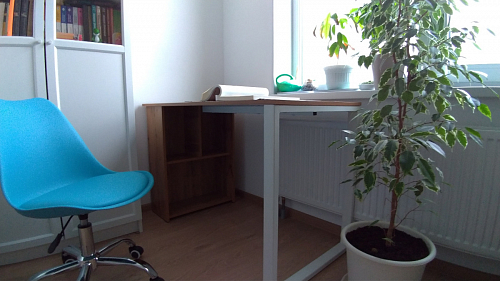 Письменный стол Битти Лофт 116х60х75 дуб делано светлый / белый матовый фото покупателя 78