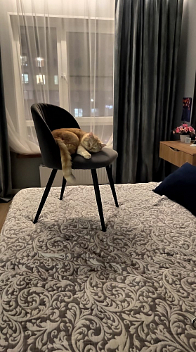 Стул на металлокаркасе Gabi 1 light purple / black / gold фото покупателя 1