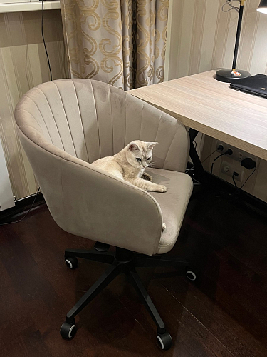 Компьютерное кресло Тибо светло-коричневый / белый фото покупателя 149