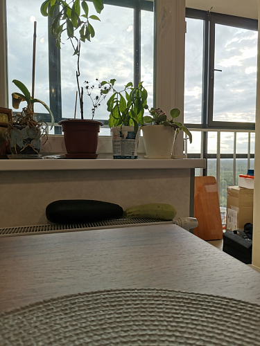 Деревянный стол Лота Лофт 140х80 белый матовый / бетон светлый фото покупателя 737