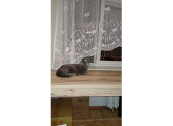 Стол Оригон файерстоун / черный матовый фото покупателя 36