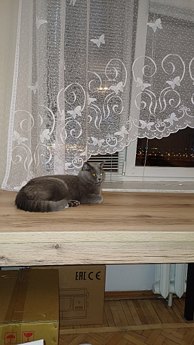 Стол Оригон сонома / черный матовый фото покупателя 36