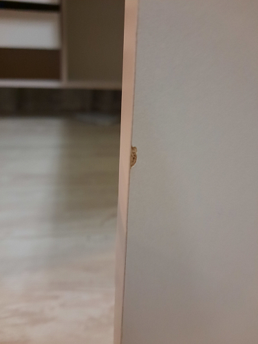 Письменный стол СПм-25 левый дуб сонома фото покупателя 13