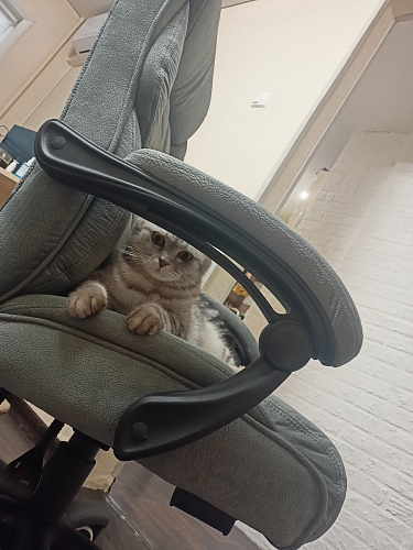 Компьютерное кресло Traun dark gray / black фото покупателя 26