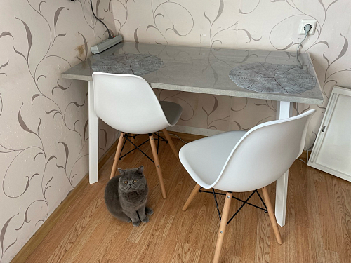 Стол Тринити Лофт 120 32 мм дуб галифакс табако / черный матовый фото покупателя 776