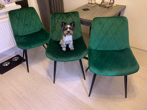 Стул на металлокаркасе Fox зеленый фото покупателя 1