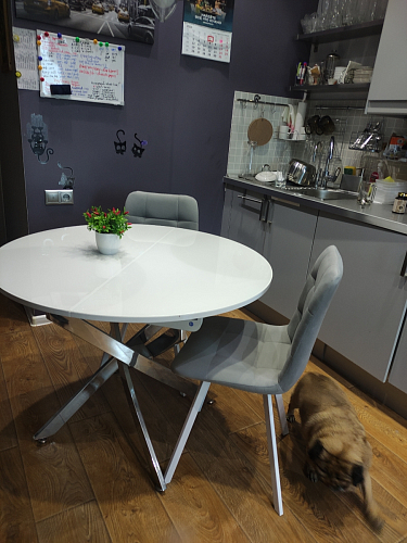 Стул на металлокаркасе Чилли зеленый / белый каркас фото покупателя 345