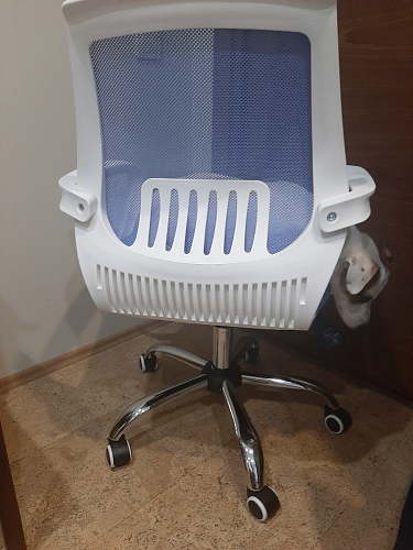 Компьютерное кресло Ergoplus белое / голубое фото покупателя 16