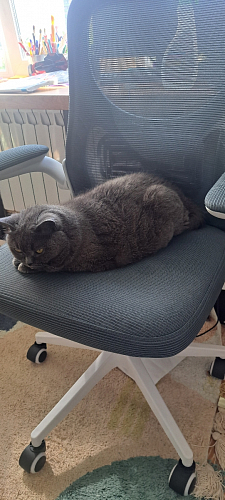 Компьютерное кресло Konfi pink / white фото покупателя 170