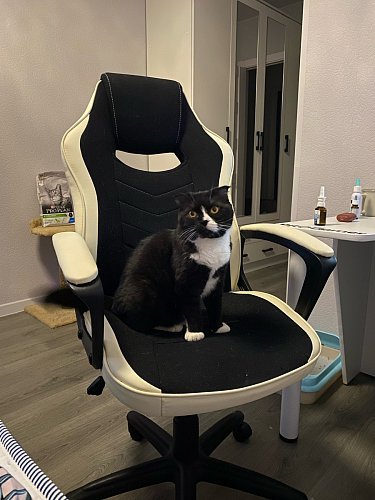 Компьютерное кресло Gamer черное / бежевое фото покупателя 26