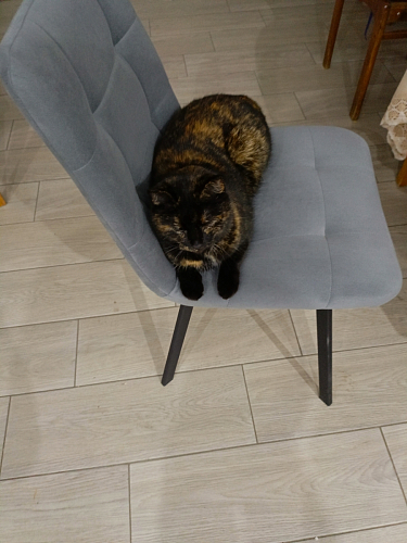 Стул на металлокаркасе Чилли К кирпичный / черный фото покупателя 526