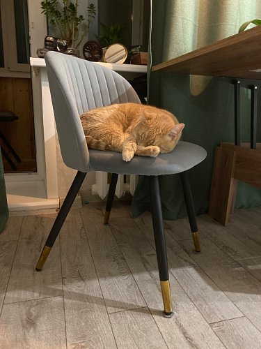 Стул на металлокаркасе Gabi 1 light purple / black / gold фото покупателя 10