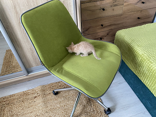 Компьютерное кресло Style фиолетовое фото покупателя 14