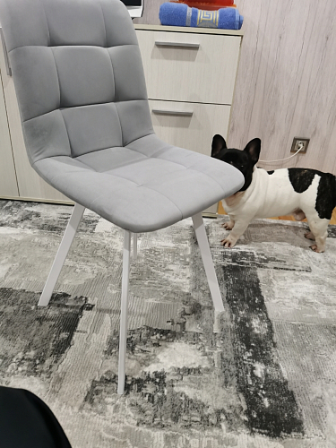 Стул на металлокаркасе Чилли зеленый / белый каркас фото покупателя 264