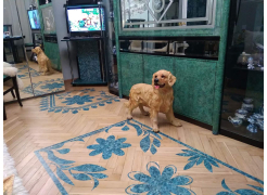 Компьютерный стол КСТ-12 дуб сонома фото покупателя 2