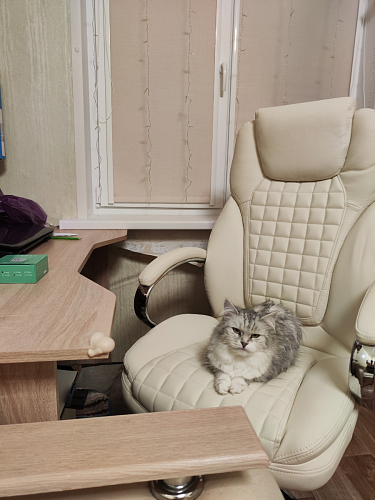 Компьютерное кресло Herd темно-бежевое фото покупателя 94