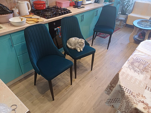 Стул на металлокаркасе Kora gray / black фото покупателя 397