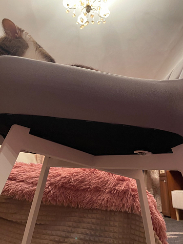 Стул на металлокаркасе Челси велюр коричневый / черный каркас фото покупателя 131