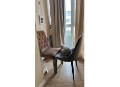 Стул на металлокаркасе Kora green / black фото покупателя 285