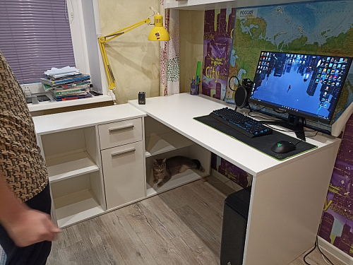 Письменный стол Лайт 03.245F белый гладкий 101 фото покупателя 62