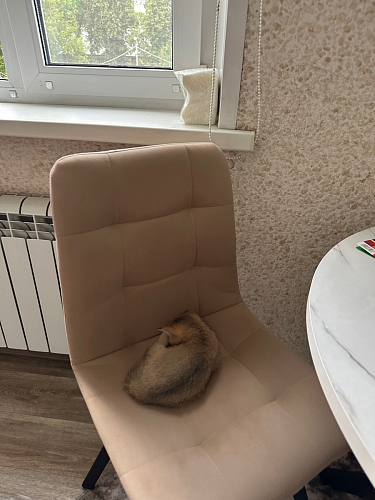 Стул на металлокаркасе Чилли К кирпичный / черный фото покупателя 184