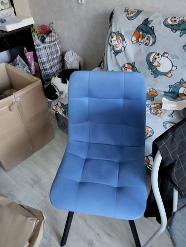 Стул на металлокаркасе Чилли синий / белый фото покупателя 698