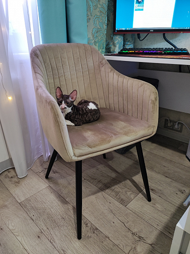 Стул на металлокаркасе Slam champagne фото покупателя 1