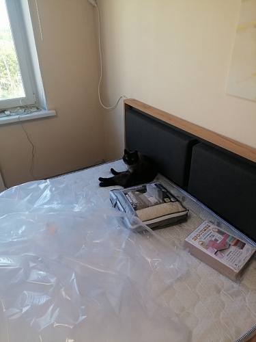 Двуспальная кровать Клауд 160х200 парящая дуб крафт золотой / антрацит фото покупателя 179