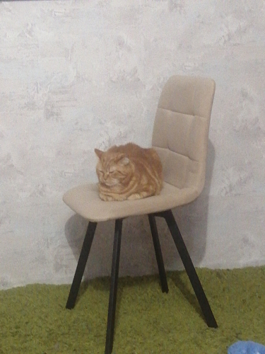 Стул на металлокаркасе Чилли синяя ткань / белый фото покупателя 600